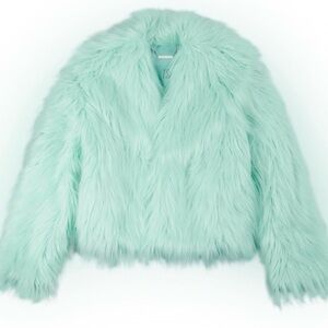 ISO | Taylor Swift | Mint Green Faux Fur Jacket